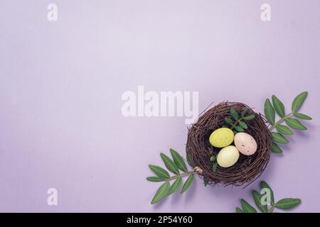 Uova di pasqua colofful in nido Foto Stock