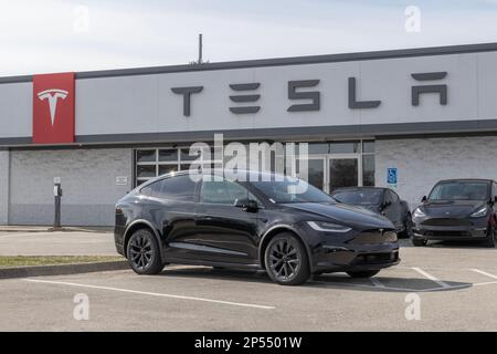 Indianapolis - circa marzo 2023: Veicoli elettrici Tesla EV in esposizione. I prodotti Tesla includono auto elettriche, stoccaggio dell'energia delle batterie, pannelli solari e. Foto Stock