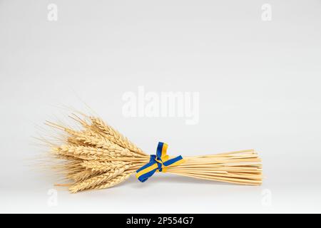 Spikelets di grano legato con un nastro dei colori della bandiera Ucraina su uno sfondo bianco, Ucraina Foto Stock