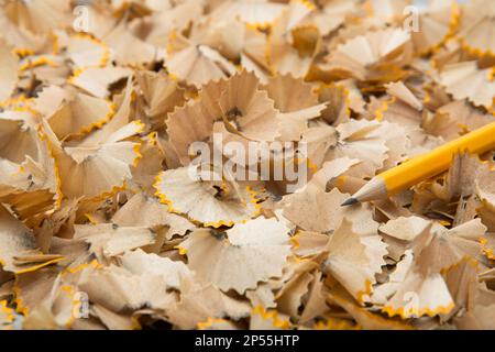 Matite affilate e raccolta di trucioli di legno. Foto Stock