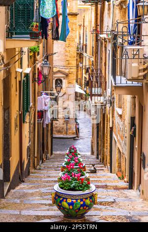 Cefalù, Sicilia, Italia vicoli con fiori in vaso. Foto Stock