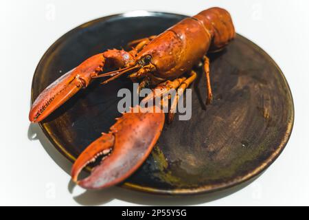 piatto con aragosta su di esso, concetto di pesce. Foto di alta qualità Foto Stock