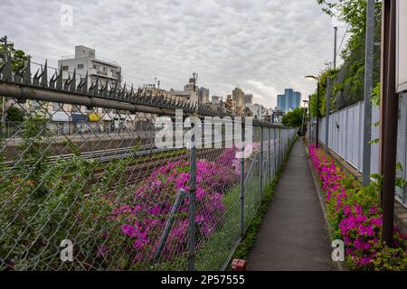 La ferrovia JR corre lungo la passerella pedonale a Mejiro Tokyo Giappone Foto Stock