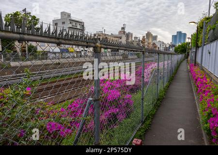 La ferrovia JR corre lungo la passerella pedonale a Mejiro Tokyo Giappone Foto Stock