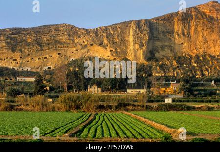 Cave Houses a Terrera del Calguerin troglodite trimestre.Cuevas De Almanzora, provincia di Almeria, Andalusia, Spagna Foto Stock