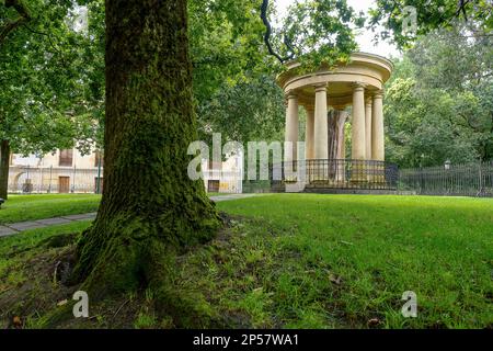 Una vista del tronco del vecchio albero di Gernika (Gernikako Arbola) in Guernica, Paesi Baschi, Spagna Foto Stock