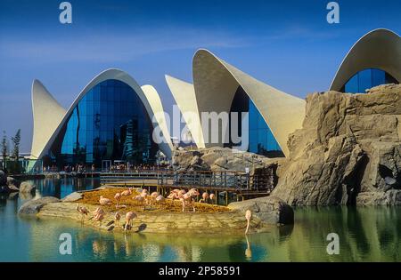 Oceanografo da Félix Candela, nella Città delle Arti e delle Scienze da S. Calatrava. Valencia. Spagna Foto Stock