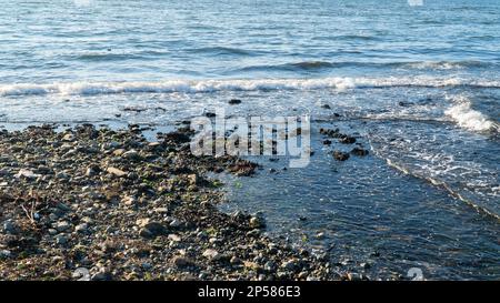 Riflusso e flusso. Marea. Il livello del mare diminuisce o diminuisce. Mare Foto Stock