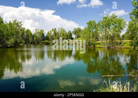 Un lago pittoresco nel parco di Belmar, Colorado, con riflessi di un cielo blu, nuvole bianche e una foresta mista. Foto Stock