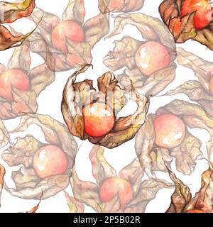 Acquerello disegnato a mano physalis inverno ciliegia capo gooseberry frutta bacche modello senza cuciture. Foto Stock