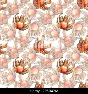 Acquerello disegnato a mano physalis inverno ciliegia capo gooseberry frutta bacche modello senza cuciture. Foto Stock