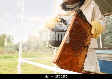 Apicoltore che calmava le api sulla cornice del miele con il fumetto all'apiario, primo piano Foto Stock