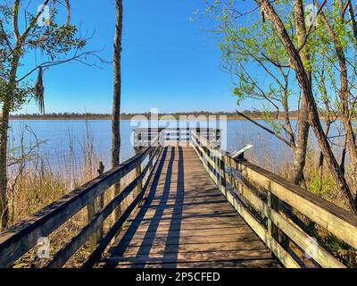 Lungomare del Blakeley state Park Foto Stock