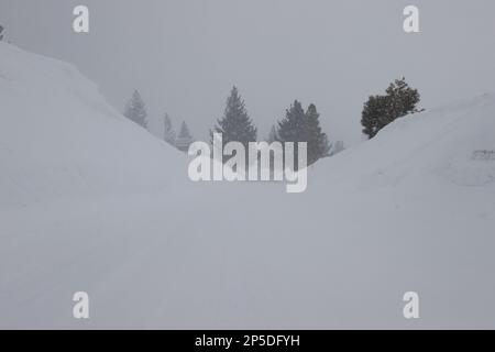 Mammoth Lakes, California. Febbraio 27, 2023. Una strada innevata durante una Blizzard invernale a Mammoth Lakes, California. Foto Stock