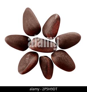 Composizione di noci di cedro, isolate su bianco. Tracciato di ritaglio incluso. Foto Stock