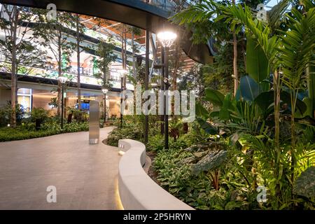 Doha, Qatar - 10 febbraio 2023: L'aeroporto internazionale di Hamad (DOH) si espande con il giardino tropicale al coperto. Foto Stock