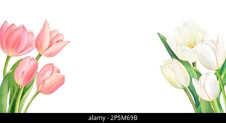 Banner acquerello con due bellissimi bouquet di tulipani bianchi e rosa. Disegnata a mano su sfondo bianco. Foto Stock