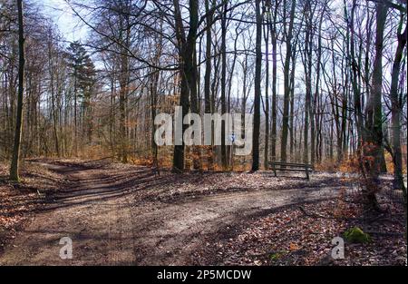 Wandern durch den Teutoburger Wald Foto Stock