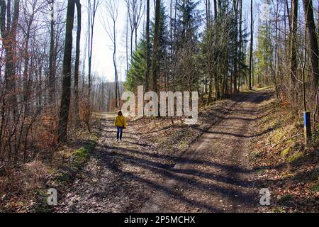 Wandern durch den Teutoburger Wald Foto Stock