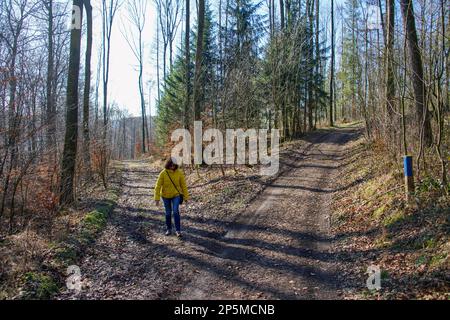 Wandern durch den Teutoburger Wald Foto Stock