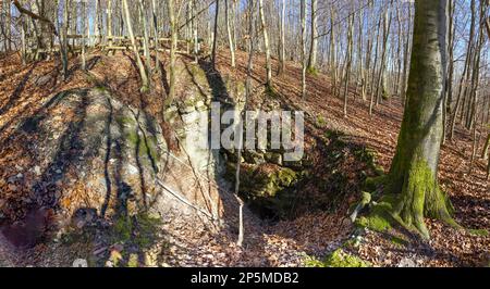 Wandern durch den Teutoburger Wald Foto Stock