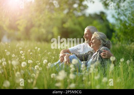 La coppia anziana siede sull'erba in estate Foto Stock