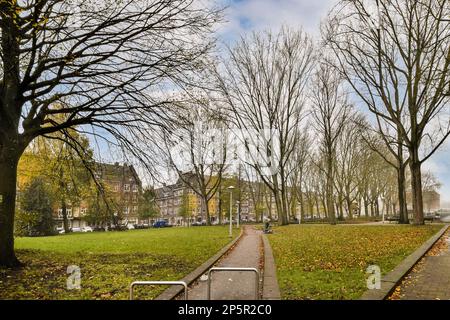 Amsterdam, Paesi Bassi - 10 aprile, 2021: Un parco con alcuni alberi e foglie a terra, in autunno o all'inizio dell'autunno c'è una panca vuota accanto ad esso Foto Stock