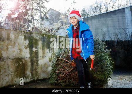 Bambino in cappello di Santa portare l'albero di Natale, tenendo l'ascia con mano Foto Stock