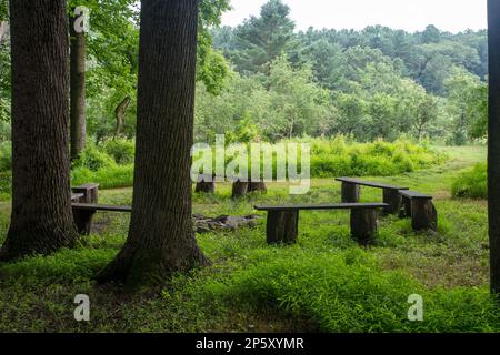 Un cerchio di panchine vuote intorno ad un pozzo di fuoco in alberi di bosco tranquilli Foto Stock