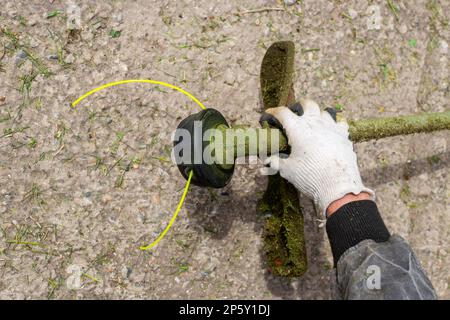 Il giardiniere ha installato una nuova linea capron per tagliare l'erba sul rasaerba. Taglio estivo dell'erba. Foto Stock