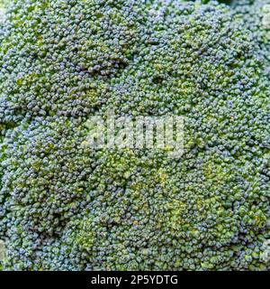 Primo piano del cavolo di broccoli, fondo, profondità di campo poco profonda Foto Stock