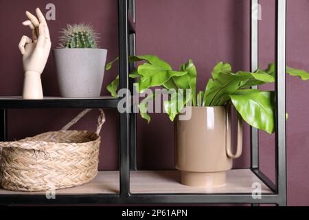 Elegante vaso in ceramica con foglie verdi, piante e decorazioni su scaffale vicino a parete marrone Foto Stock