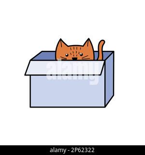 Carino gatto nascosto nella scatola. Personaggio divertente seduto all'interno del cartone Illustrazione Vettoriale