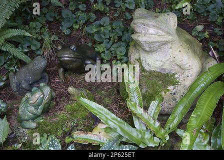 rospo rospo sculture in giardino Foto Stock