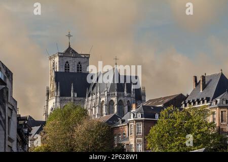 Foto della cattedrale di Liegi nel pomeriggio. Cattedrale di Liegi, altrimenti St La Cattedrale di Paolo, Liegi, a Liegi, in Belgio, fa parte dell'erita religiosa Foto Stock