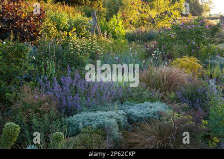 Un bellissimo giardino cottage bordo in estate Foto Stock