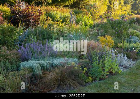 Un bellissimo giardino cottage bordo in estate Foto Stock