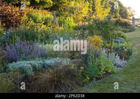 Un bellissimo giardino cottage bordo in estate Foto Stock