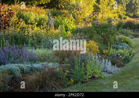 Un bellissimo giardino cottage bordo in estate Foto Stock