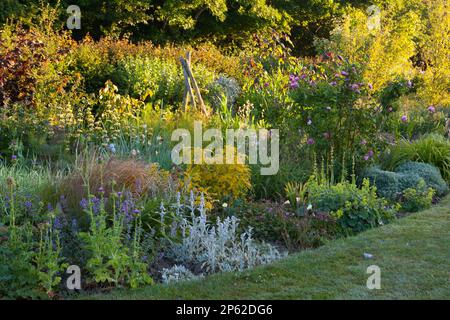 Un bellissimo giardino cottage bordo in estate Foto Stock
