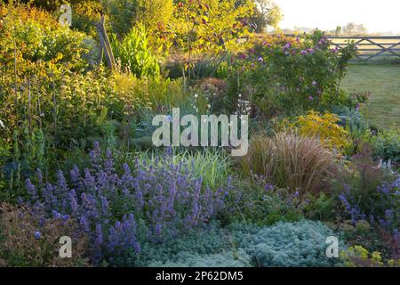 Un bellissimo giardino cottage bordo in estate Foto Stock