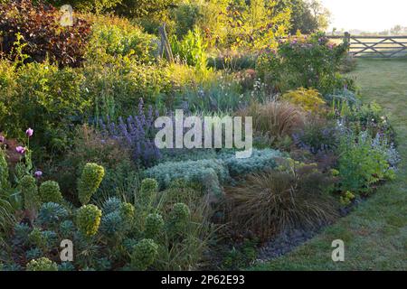 Un bellissimo giardino cottage bordo in estate Foto Stock
