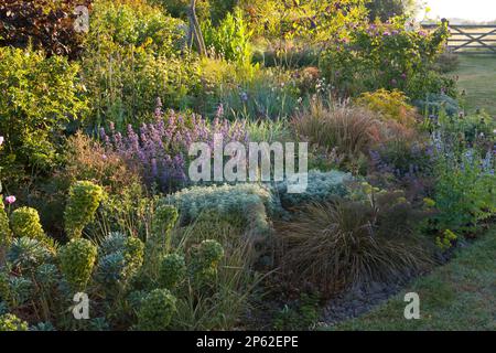Un bellissimo giardino cottage bordo in estate Foto Stock