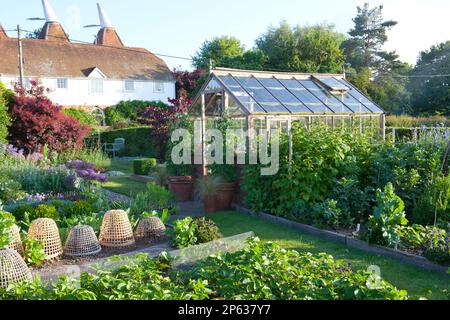 Una tradizionale serra in legno e un giardino cucina adagiato in un giardino cottage Foto Stock