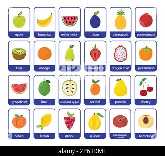 Pacchetto di flashcards di frutta. Grande collezione con frutti diversi Illustrazione Vettoriale