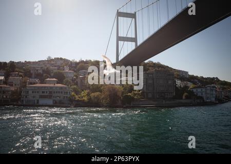 Immagine del secondo ponte sul Bosforo di Istanbul visto dal basso durante un pomeriggio di sole. Il Ponte Fatih Sultan Mehmet ('Sultan Mehmed il Conquero Foto Stock