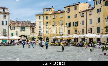 Piazza anfiteatro nel centro storico di Lucca, regione Toscana nel Centro Italia, Europa Foto Stock