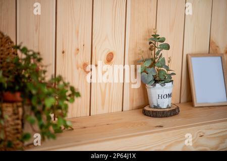 Su un ripiano di legno si trova Eucalyptus in una pentola fatta a mano con scuffi bianchi. Rustico, in stile scandinavo all'interno dell'appartamento. Disegno botanico. Foto Stock