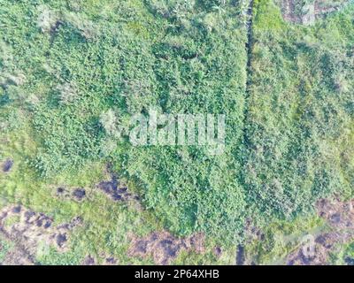 Veduta aerea della mappatura terrestre da parte di un veicolo aereo senza equipaggio a Bogor, Indonesia. Foto Stock