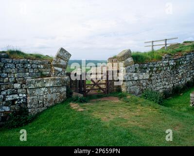 Milecastle 37, Vallo di Adriano, Whin Sill, Northumberland. Primo miglio ad ovest di Housesteads. Vista verso nord attraverso la porta delle Mura Romane. Foto Stock
